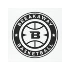 Breakaway Basketball Car Magnet | 2 SIZES