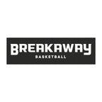 Breakaway Basketball Car Magnet | 2 SIZES