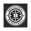 Breakaway Basketball Car Magnet | 2 SIZES